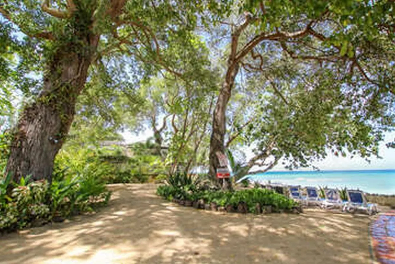 Whitecaps By Bsl Rentals Saint Peter Barbados